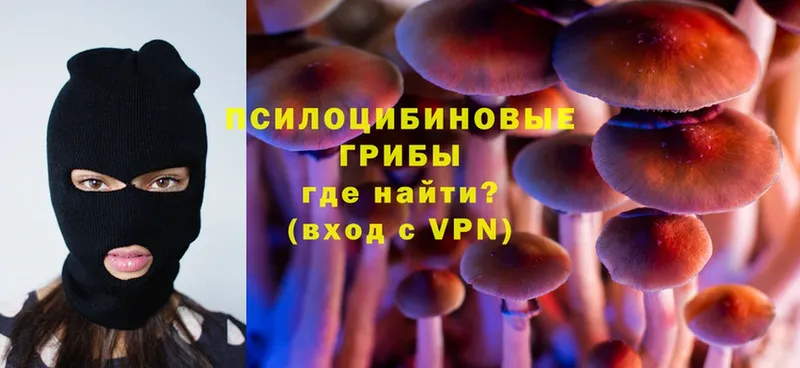 Галлюциногенные грибы Psilocybe Углегорск